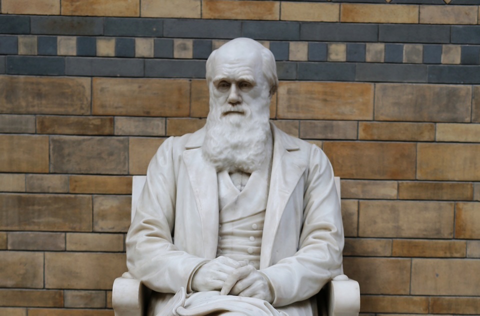 12 февраля 2026 года, четверг: День Дарвина или День науки и гуманизма, День брачных агентств, Карнавал в Мексике и Германии, 145 лет с рождения Анны Павловой