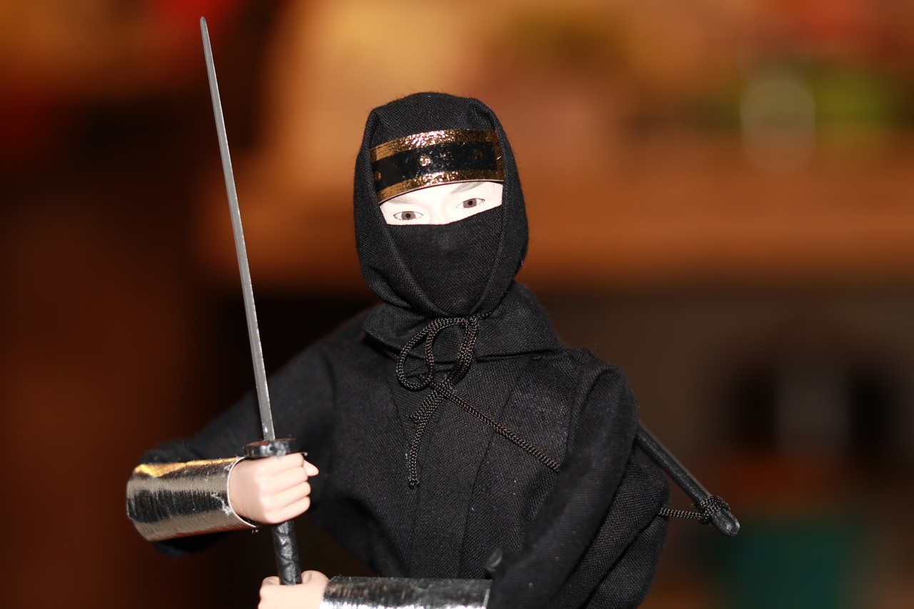 5 декабря 2025 года, пятница: День ниндзя, День волонтёра и добровольцев, День почв, дни рождения Афанасия Фета и Фёдора Тютчева