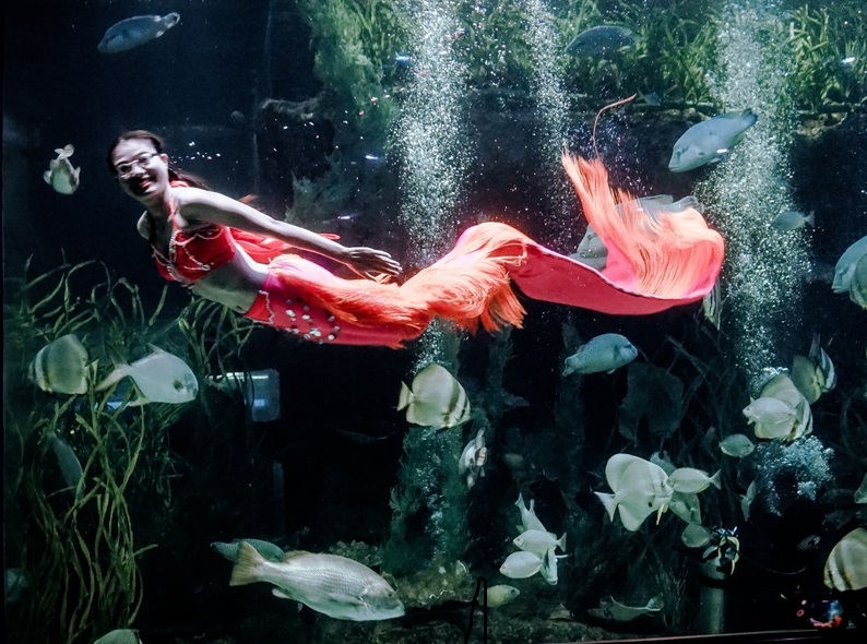 20 апреля 2026 года, понедельник: Акулинин день, День донора, День рождения детективного жанра, День китайского языка